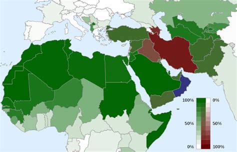 Key Differences Between Shia and Sunni Muslims | Sunni muslim, Shiite, Sunni