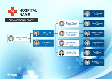 Hospital Organizational Chart Template