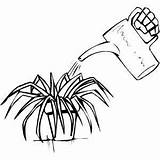 Watering Plant Coloring Page sketch template