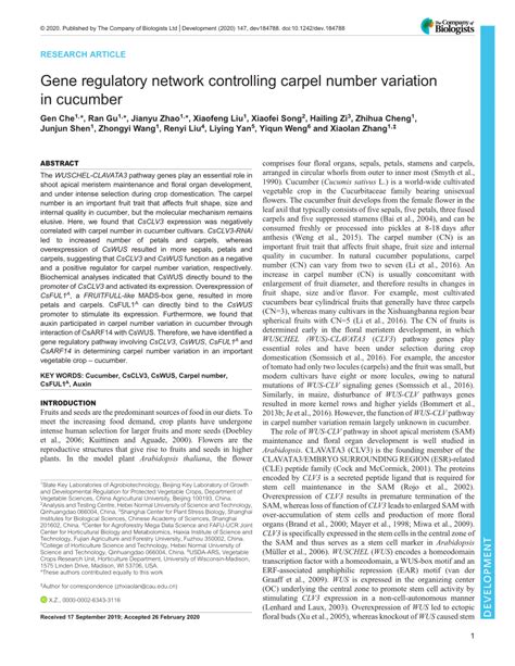 (PDF) Gene regulatory network of carpel number variation in cucumber