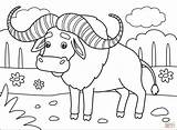 Free Printable Buffalo Coloring Pages sketch template