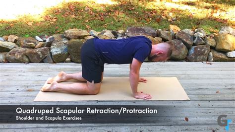 Quadruped Scapular Retraction and Protraction - Exercise Demonstration - YouTube