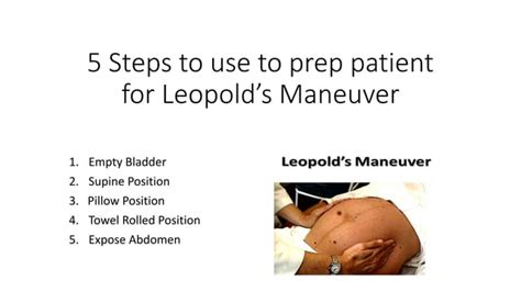 5 steps to use to prep patient for Leopold's Maneuver | PPT