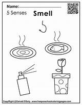Five Senses Coloring Sheet sketch template