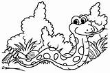 20  Rattlesnake Coloring Pages Free Printable PDF & Online sketch template