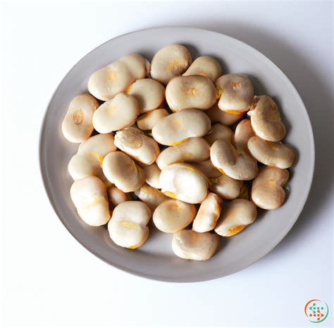 Fava Beans: Complete Nutrition Data | Food Fact