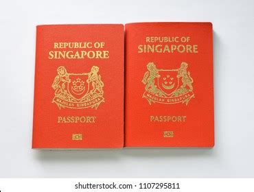 Passport Singapore Vector Illustration Template Your Stock Vector (Royalty Free) 1752335996 ...