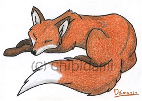 Sleeping Fox Sketch at PaintingValley.com | Explore collection of ...