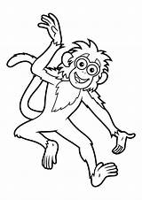 Monkey Bobo coloring pages Go Diego  Coloringscc sketch template