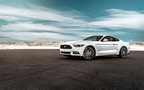 White Mustang Wallpapers - Wallpaper Cave