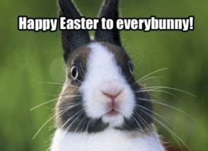 Happy Easter Memes 2024, Funny Easter Sunday Memes & Jokes