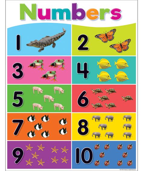 Colorful Numbers 1 10 Chart In 2021 Kids Learning Cha - vrogue.co