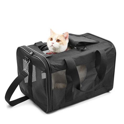 6 Best Cat Carriers That Will Help Keep Your Cat Calm [Dec. 2020]