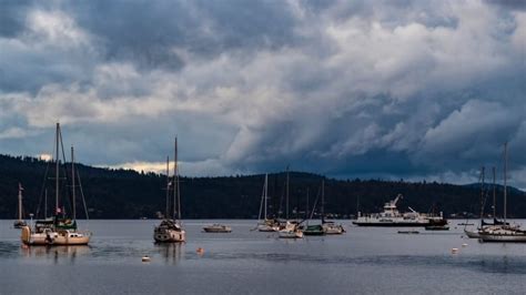 Brentwood Bay bacteria spike blamed on 'live-aboard' boat dwellers | CBC News