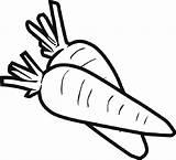 Free Printable Carrot Coloring Page Sketch sketch template