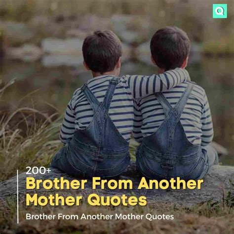 200+ Brother From Another Mother Quotes | Quotesmasala