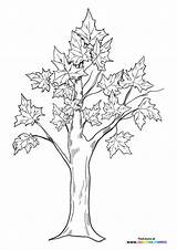 Fall oak Tree  Coloring Pages For Kids sketch template