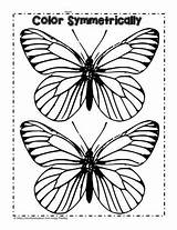 Butterfly Symmetry Activity Sketch Coloring Page sketch template