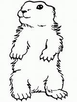 Free Printable Groundhog Coloring Pages sketch template