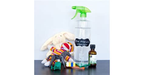 Child-Safe All-Purpose Cleaner | DIY Cleaning Products | POPSUGAR Smart ...