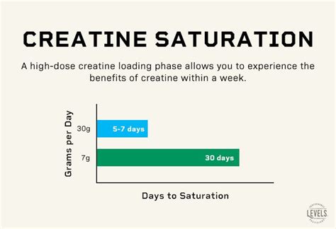 What Does Creatine Loading Do - What Does