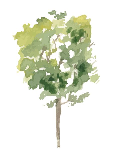 Watercolor Tree PNGs for Free Download