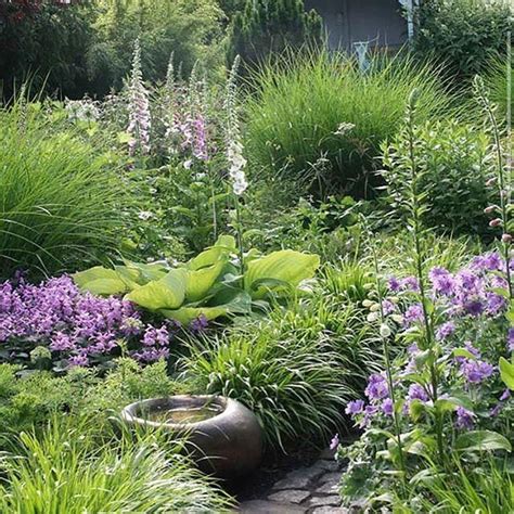 carex: garden design by carolyn mullet | Garden | Pinterest | Mullets and Gardens