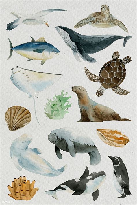 Animals from the sea in watercolor set template | premium image by ...