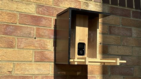 Netvue Birdfy Bamboo review: the sustainable and stylish bird feeder | TechRadar