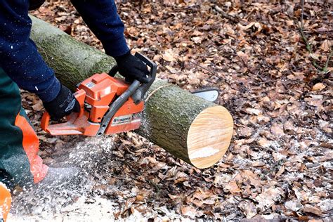 The 9 Best Electric Chainsaws of 2023 - LeafScore