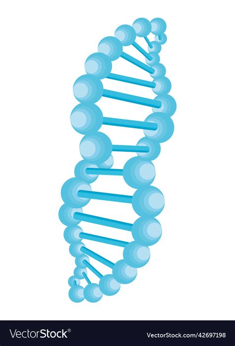 Dna helix Royalty Free Vector Image - VectorStock