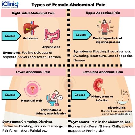 Abdominal Pain Female Diagram