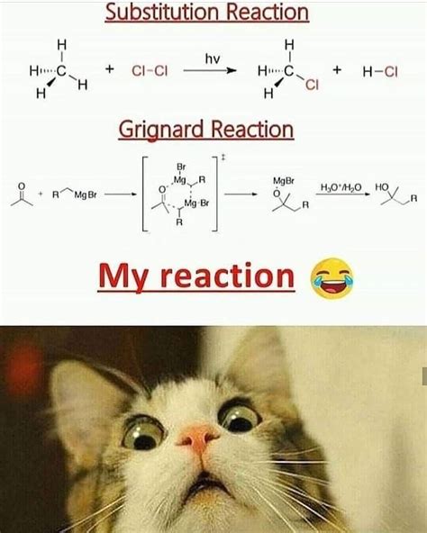 Chemistry Memes on Instagram: “Follow @chemistry_memes__ for more! #chemistry #chemistrymemes # ...