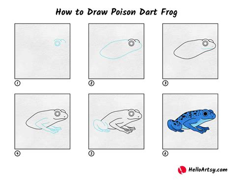 How to Draw Poison Dart Frog - HelloArtsy