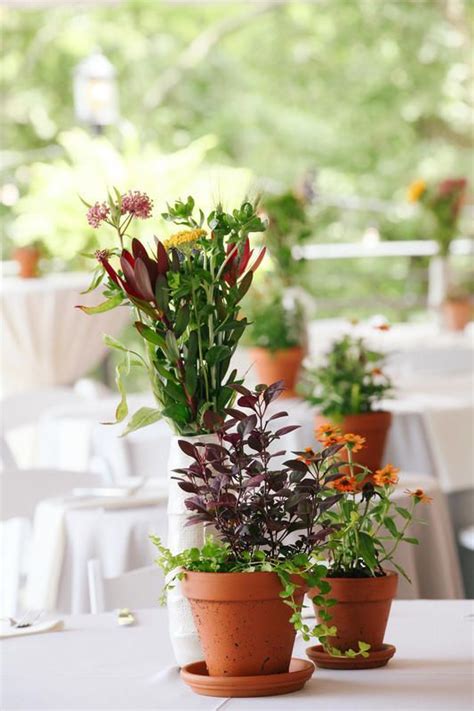 Potted plants centerpiece | Potted plant centerpieces, Plant centerpieces, Wedding floral ...