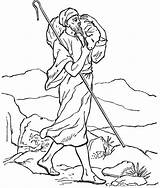 Good Shepherd And Parable Of The Lost Sheep Coloring Pages sketch template