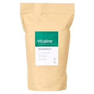 Vitaline Review | Shakes with Character and Purpose