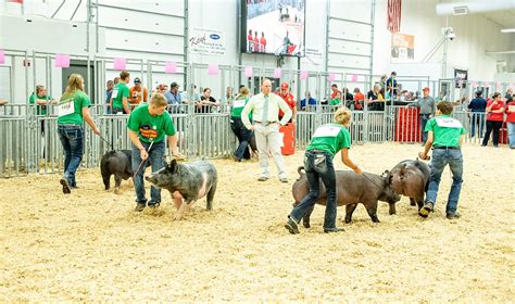 State Fair Live Animal Exhibitor Resources | Nebraska 4-H