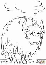 Cartoon Yak coloring Page  Free Printable Coloring Pages sketch template
