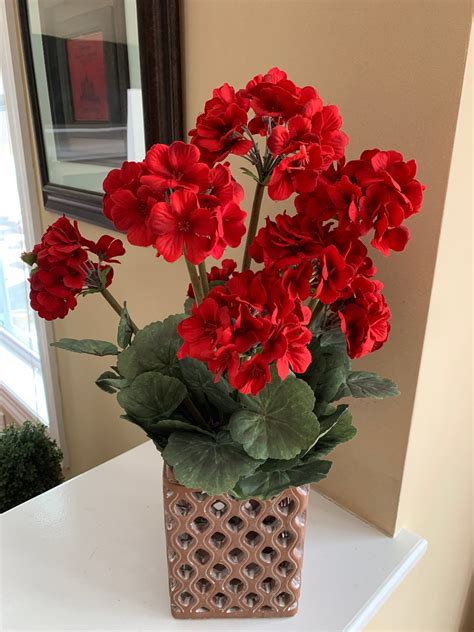 Red geranium flower arrangement beautiful pottery vase with | Etsy