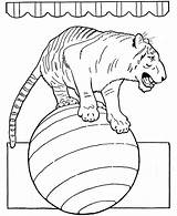 Circus Animals coloring Pages  Clip Art Library sketch template