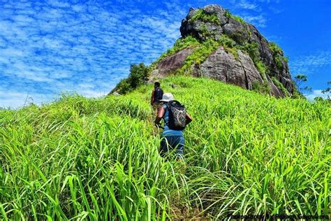 2023 Saradiyel Village Trail And Alagalla Mountain Trekking Colombo