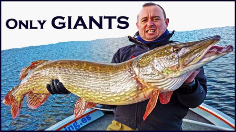 BIG PIKE FISHING in SPAIN with BO Fishing Guide 🤩¡Dreams come true!🤩 ...