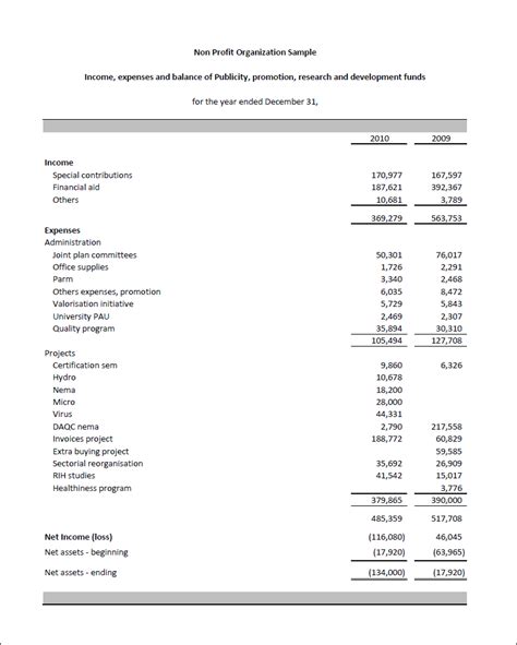 Excel FSM | NPO | Financial Statement Masters