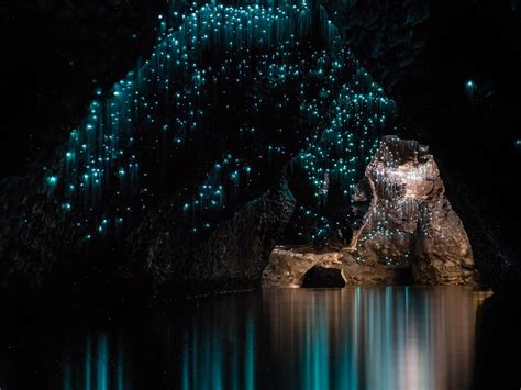 Waitomo Caves: As cavernas mais famosas da Nova Zelândia