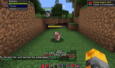 Minecraft Pokémon Mods: Our List Of The Best Ones To Download – FandomSpot