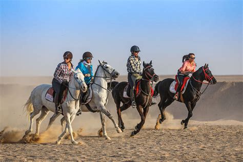 Fast-paced trail rides around the world | Equus Journeys