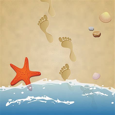 Best Footprints In The Sand Illustrations, Royalty-Free Vector Graphics & Clip Art - iStock