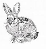 Efie goes Zentangle Ben Kwok Rabbit  Animal coloring Pages sketch template
