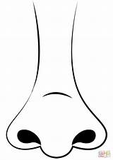 Nose coloring Page  Free Printable Coloring Pages sketch template